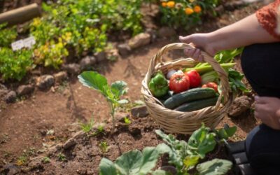 Emprender en agricultura sostenible y proteger biodiversidad