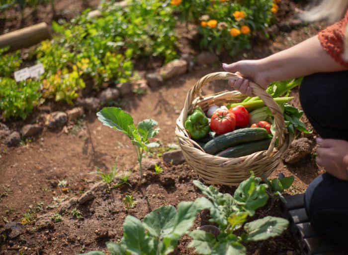 Emprender en agricultura sostenible y proteger biodiversidad