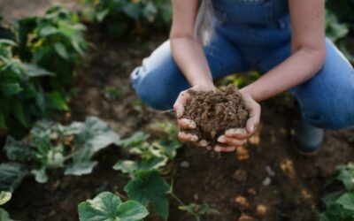Agricultura y ganadería regenerativa para sanar el planeta